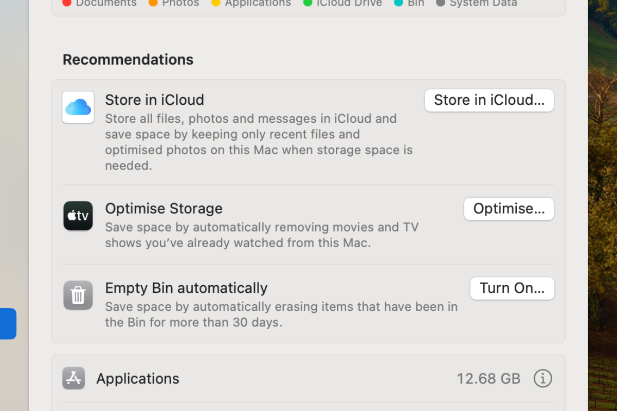 Screenshot of the Recommendations section in macOS storage settings menu.