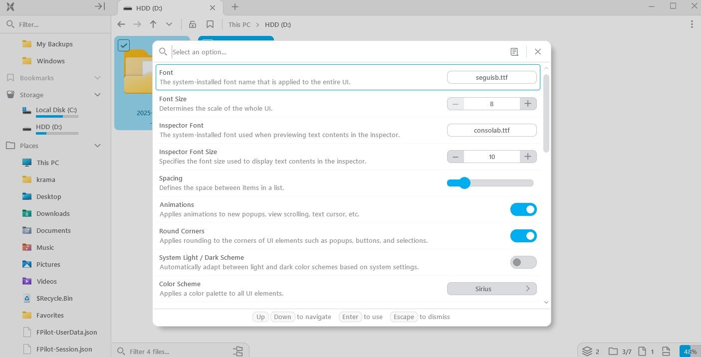 Options window of the File Pilot app.