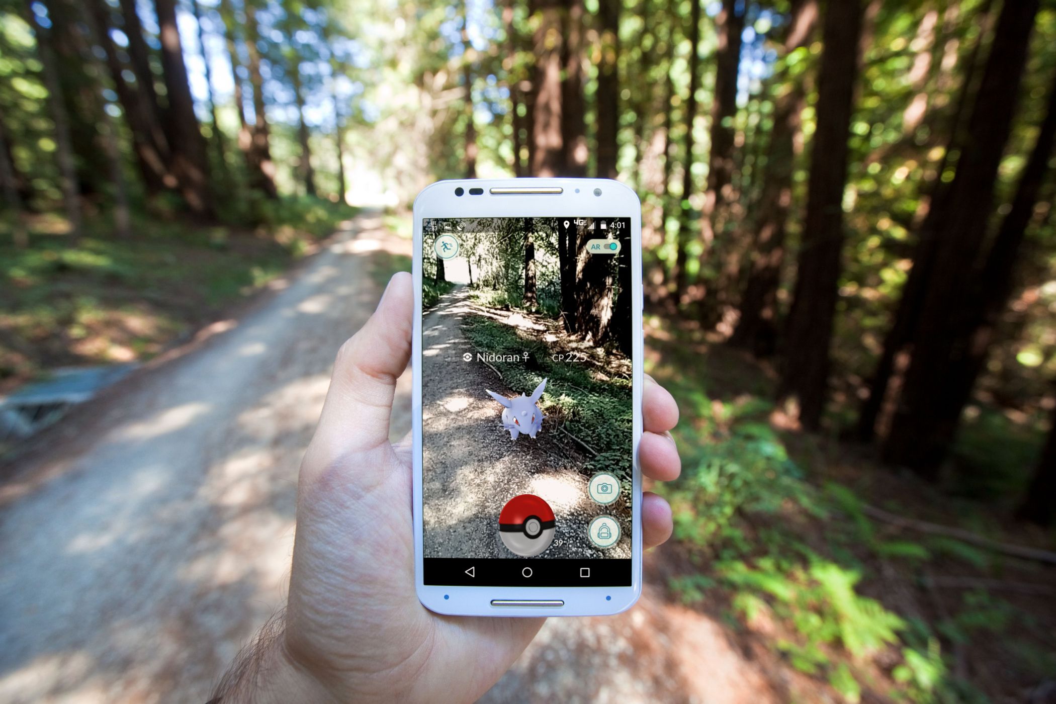 The hit augmented reality smartphone app "Pokemon GO" shows a Pokemon encounter overlain on a real world trail in the forest.