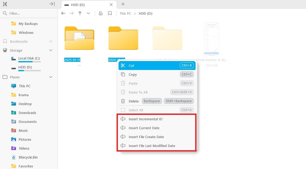 Rename options in the File Pilot context menu.