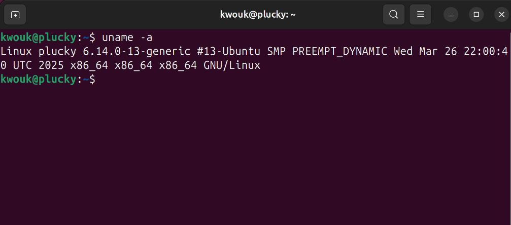 Screenshot showing Ubuntu 25.04 kernel version.