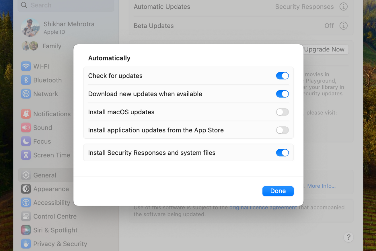 Screenshot of the software update section in macOS with the automatic updates option.