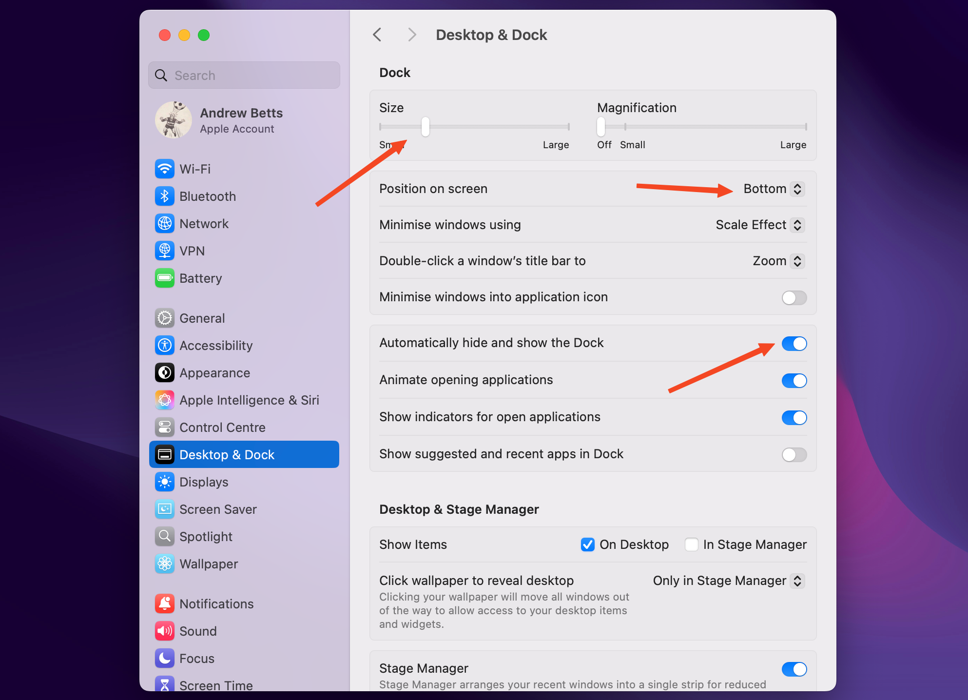 The Dock settings in macOS.