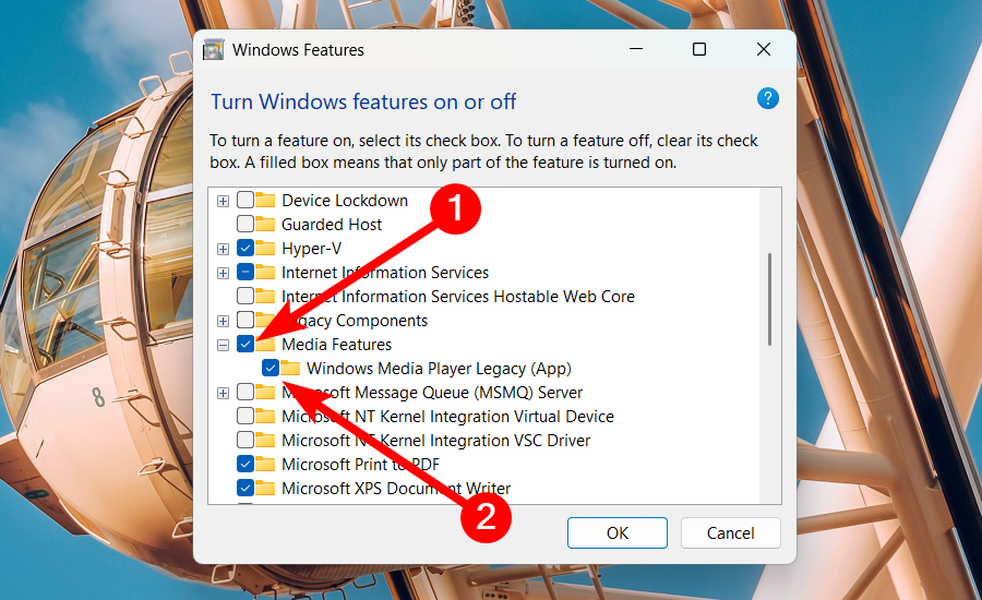 Enabling the Windows Media Player Legacy in Windows 11.