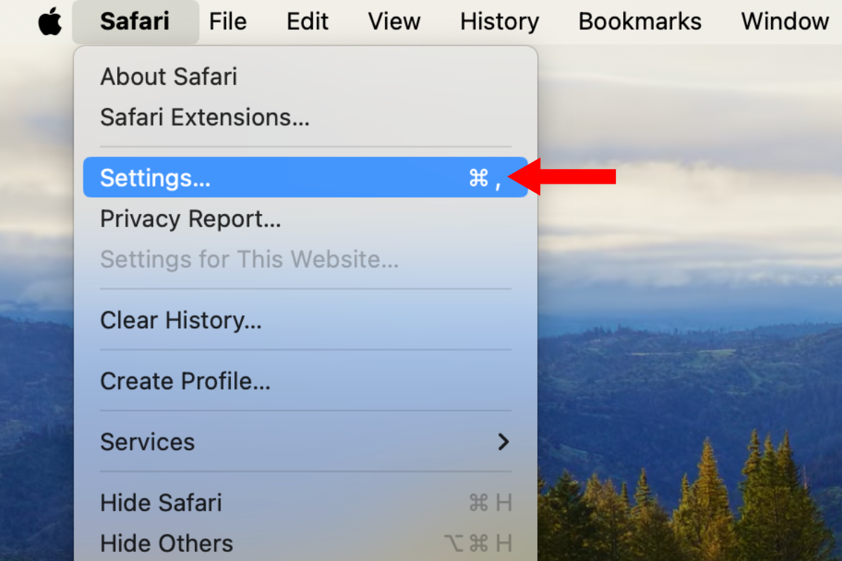 Screenshot of the Safari menu with an arrow next to the Settings option.