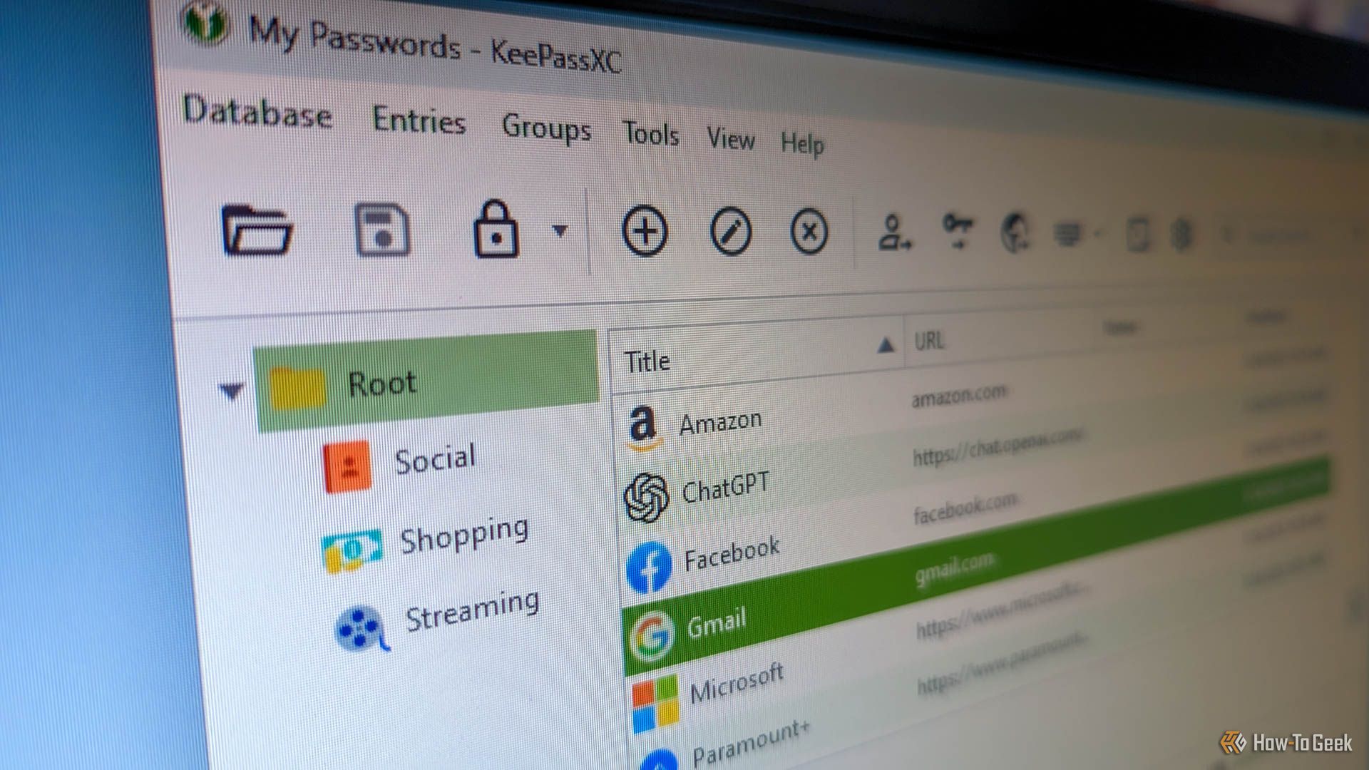 KeePassXC open on a computer screen, with several online accounts listed in the database.