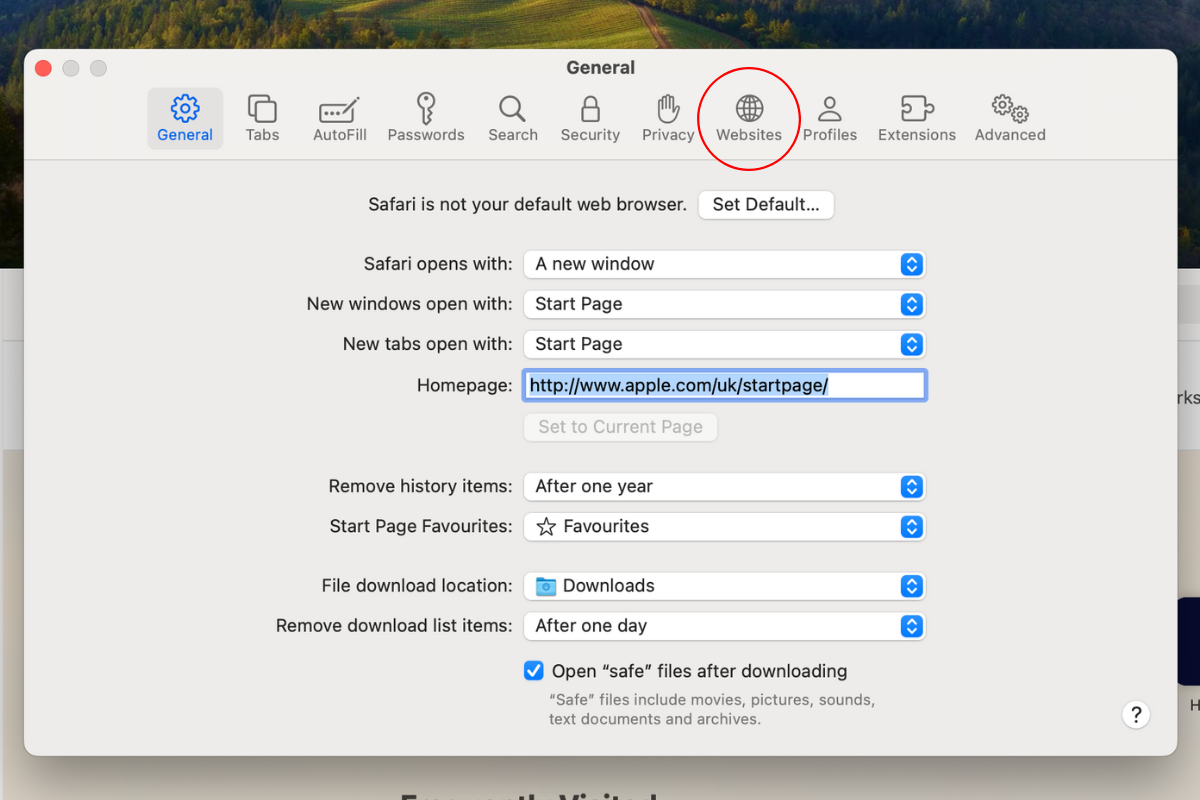 Screenshot of the Safari settings menu with a circle around the websites menu.