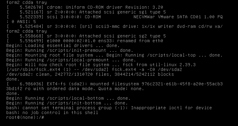 rminal screenshot showing a Linux system booting directly into a minimal root shell.