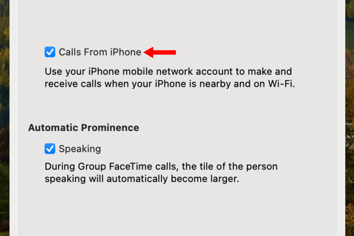 Screenshot of the FaceTime settings menu with an arrow next to the calls from iPhone option.