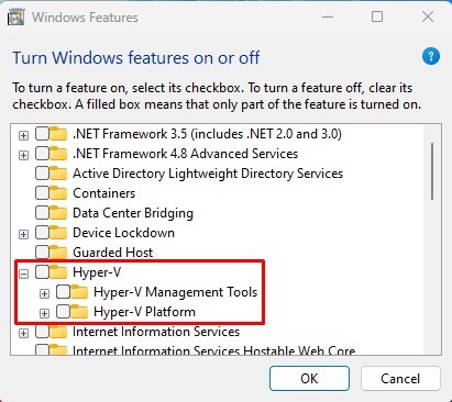 Hyper-V Platform