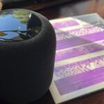 Fortnite Beat Apple In Court