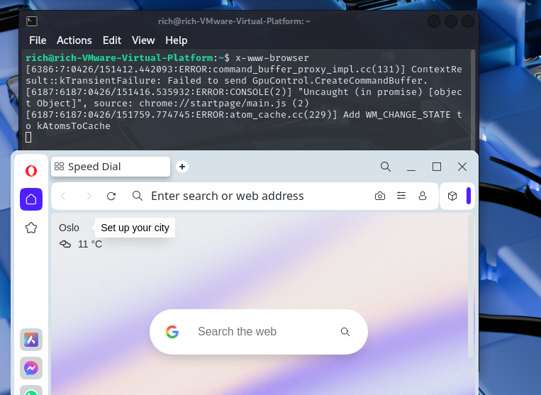 Screenshot showing a terminal running the x-www-browser command via SSH with X11 forwarding.