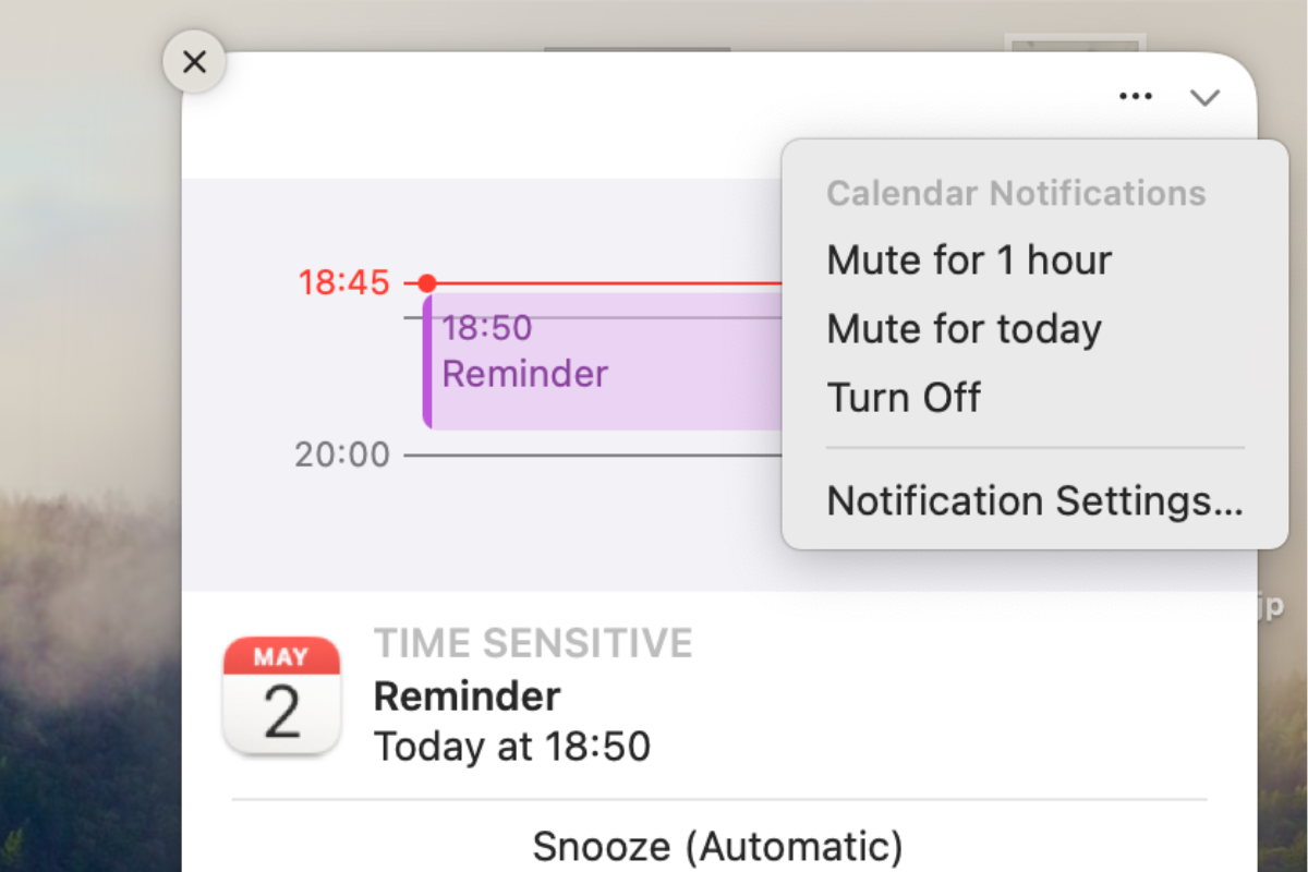 Screenshot of the expanded notifications on macOS, showcasing the options to mute notifications temporarily.