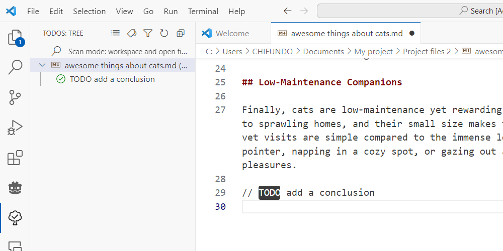 A TODO comment in VS Code with TODO Tree showing it in the navigation pane.