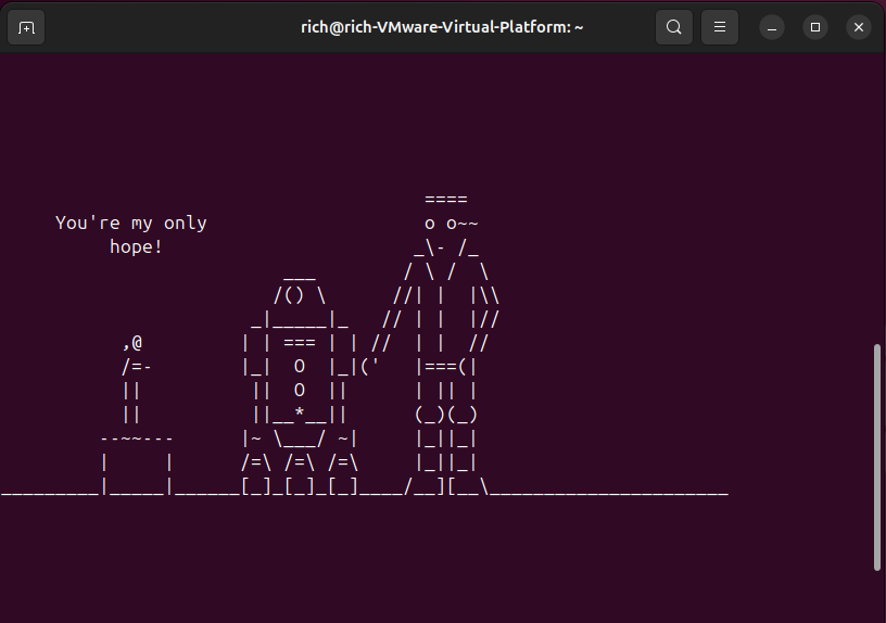 Screenshot of a terminal showing an ASCII art scene from Star Wars with characters and the quote “You’re my only hope!”
