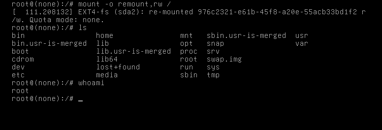 A root shell session after booting into Linux showing the root filesystem successfully remounted as writable.